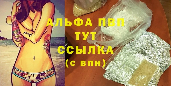ПСИЛОЦИБИНОВЫЕ ГРИБЫ Белокуриха