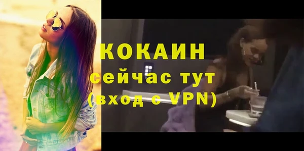 ПСИЛОЦИБИНОВЫЕ ГРИБЫ Белокуриха