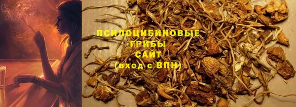стаф Беломорск