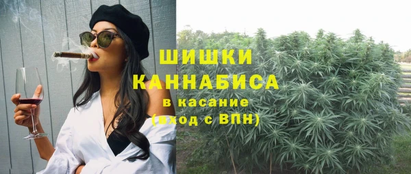 ПСИЛОЦИБИНОВЫЕ ГРИБЫ Белокуриха