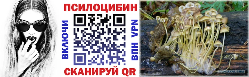купить цена МЕГА рабочий сайт Галлюциногенные грибы GOLDEN TEACHER Янаул